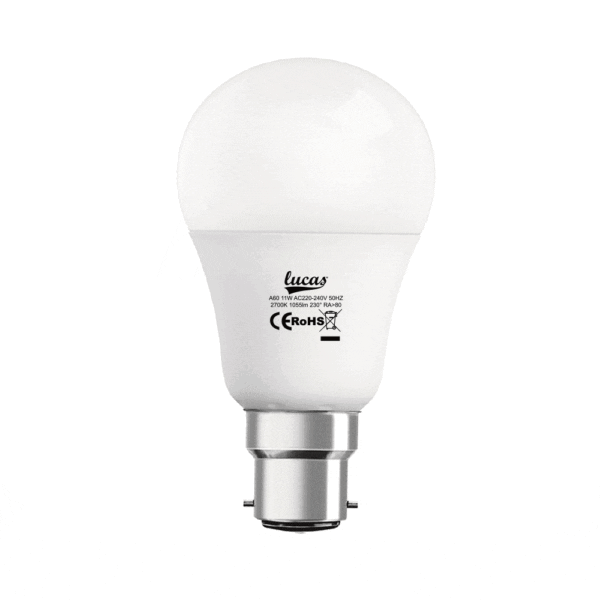 Λαμπτήρας LED A60 Β22 11w