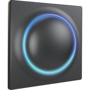FIBARO Διακόπτης - Σειρά Walli