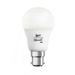 Λαμπτήρας LED A60 B22